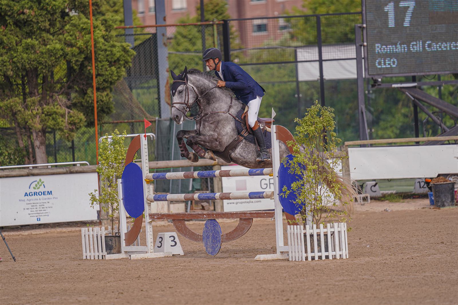 Alogo Sporthorses