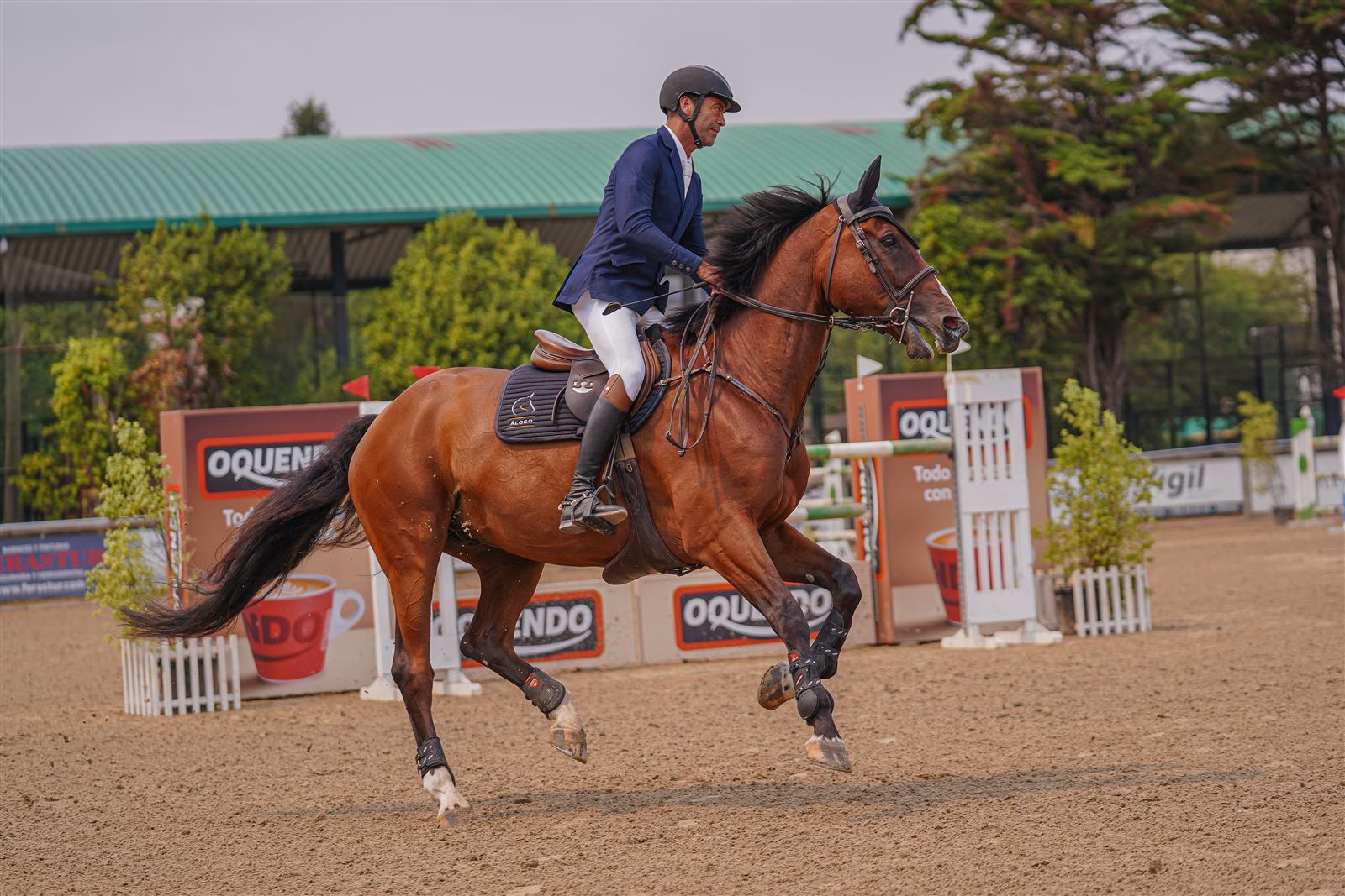 Hollystar d'Argouges